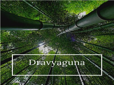 Introduction to Dravyaguna