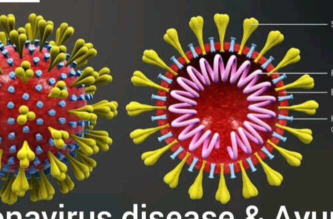 Ayurveda View on Coronavirus disease