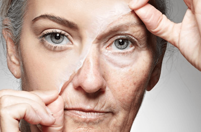 Exploring the Science behind Ayurvedic Rejuvenation: The Power of Rasayana Therapy