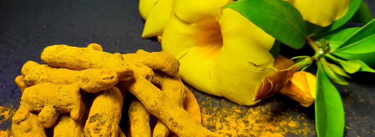 How Turmeric Miraculous Plant is Making the World a Better Place.